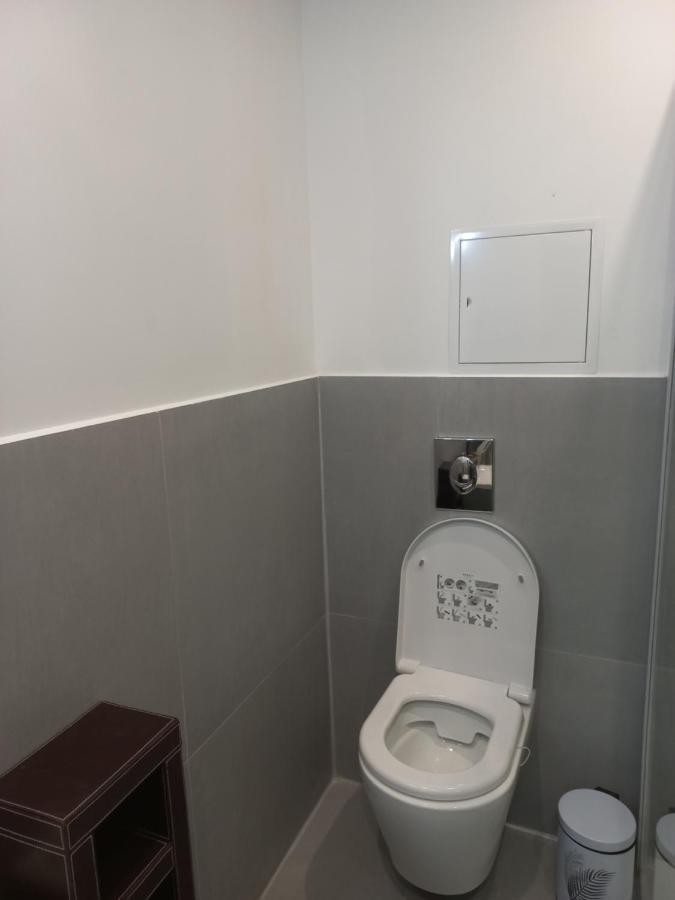 شقة Le Gerwig Colmar Centre المظهر الخارجي الصورة